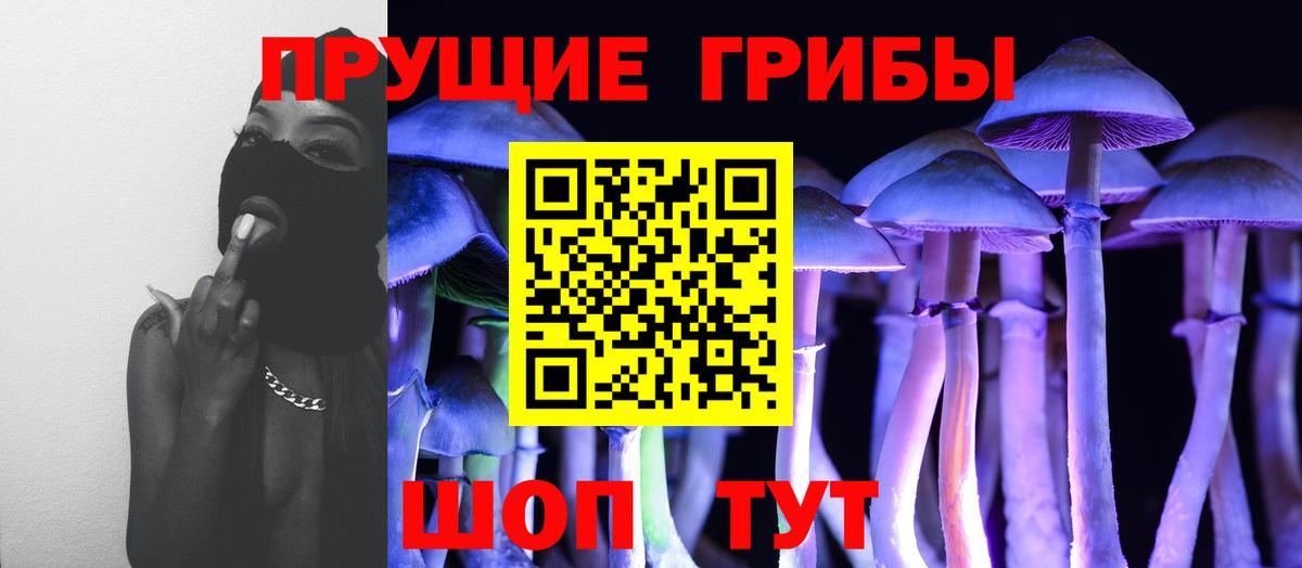 Павловский Посад  где продают   Вход с VPN  Галлюциногенные грибы GOLDEN TEACHER 